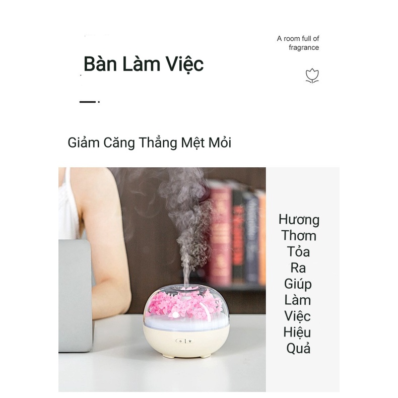 Máy xông tinh dầu hoa ban, máy khuếch tán tinh dầu cấp ẩm cho phòng điều hòa