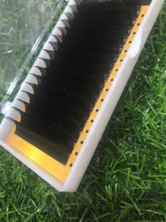 Mi khay độ cong C