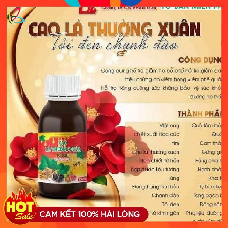 cao lá thường xuân tỏi đen chanh đào, cao ho lá thường xuân siro ho