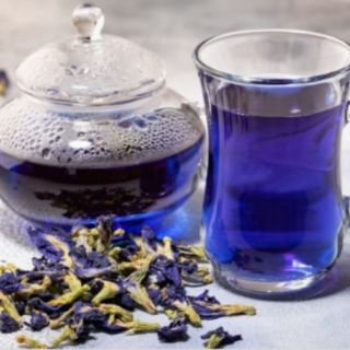 Cây hoa đậu biếc