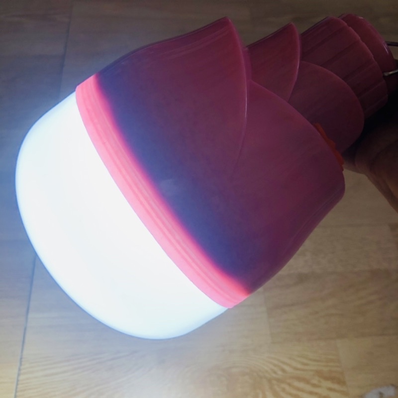 Bóng tích điện siêu sáng to/bé 120w/60w có
