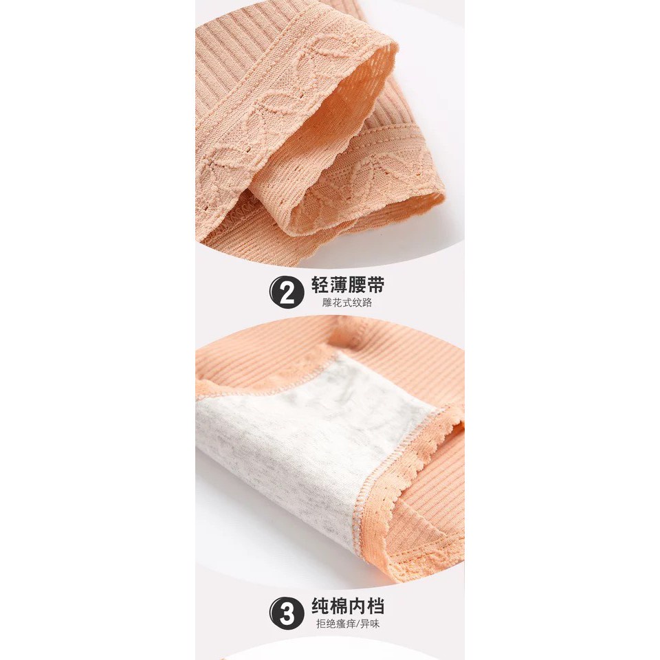 Quần Lót Nữ - Quần Lót Nữ Cotton Nữ kháng khuẩn gân tăm viền ren quyến rũ DAN STORE MÃ 1741