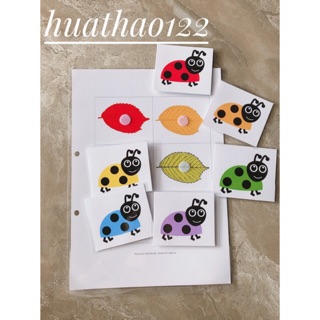 Học liệu cho bé - matching bọ rùa màu sắc