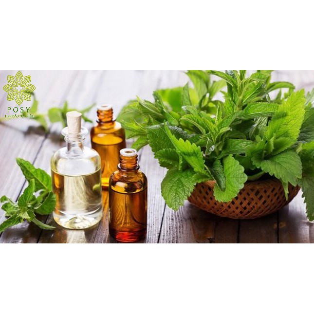 Tinh dầu Bạc Hà 10ml - Mentha Arvensis