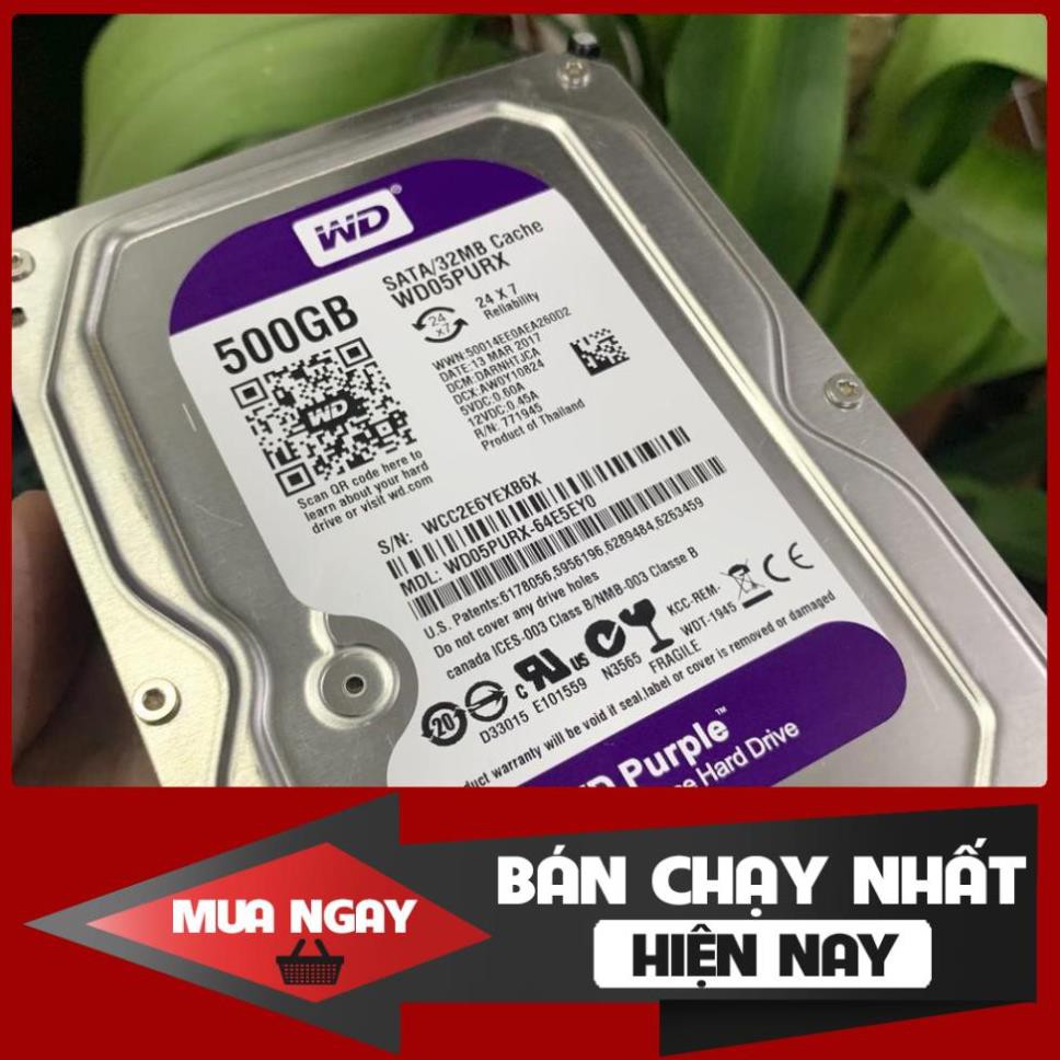 Ổ cứng Camera HDD 500GB Tím Western- Bảo hành 24 Tháng