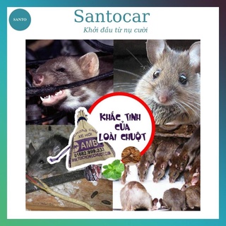 TÚI CHỐNG CHUỘT XE Ô TÔ AMB