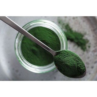 Tảo bột xoắn thức ăn cho Cá cảnh bổ sung dinh dưỡng, nuôi Artemia sinh khối