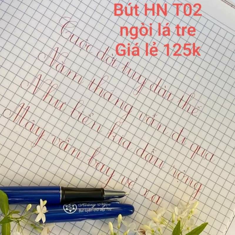 Bút Hoàng Ngọc T02 ⚡ GIÁ TỐT NHẤT ⚡ bút mực ngòi lá tre không rỉ, ngòi gai nét rất mảnh