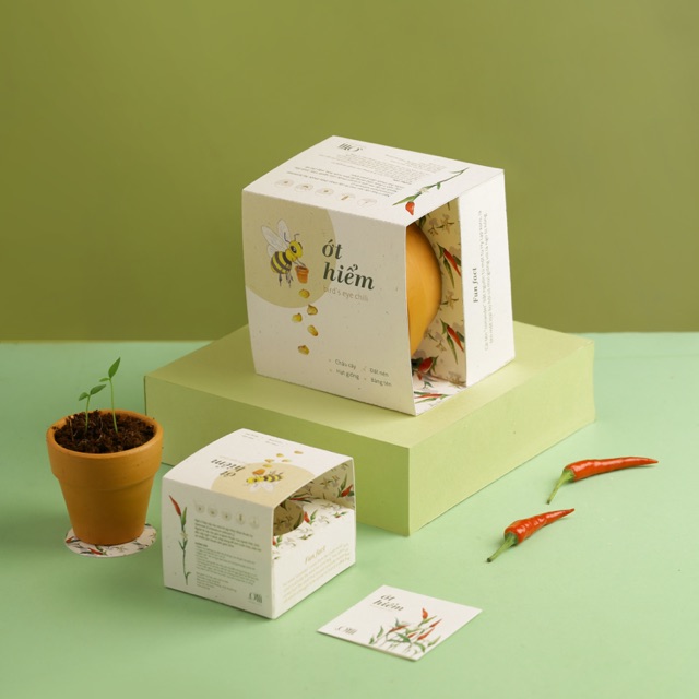 Kit Trồng Cây Mini - Cây Ớt Hiểm | Plant Kit - Bird’s Eye Chili