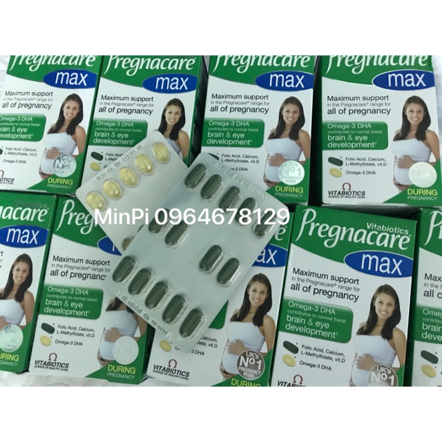 Bầu max