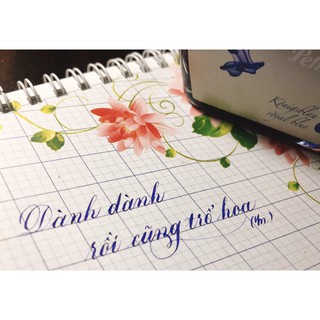 🎀 Mực bút máy Pelikan lọ 62.5ml