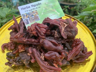 Mủ gòn loại 1 (500g)