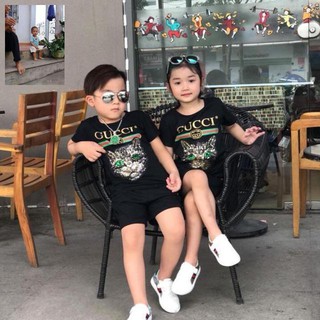 Combo Bộ guci mèo huy89