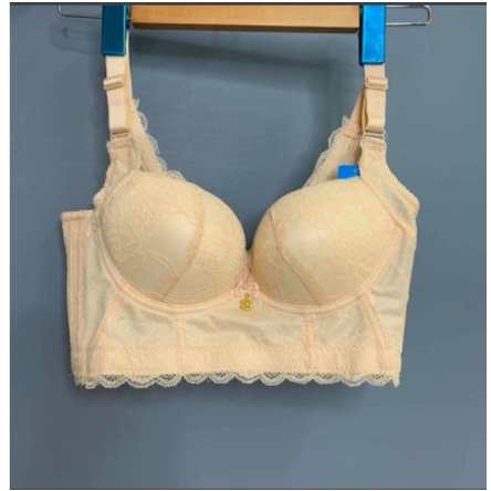 MẪU MỚI *Áo lót ren Bigsize bản to Che mỡ,lưng mỡ lách 5 khuy (sz 36-40