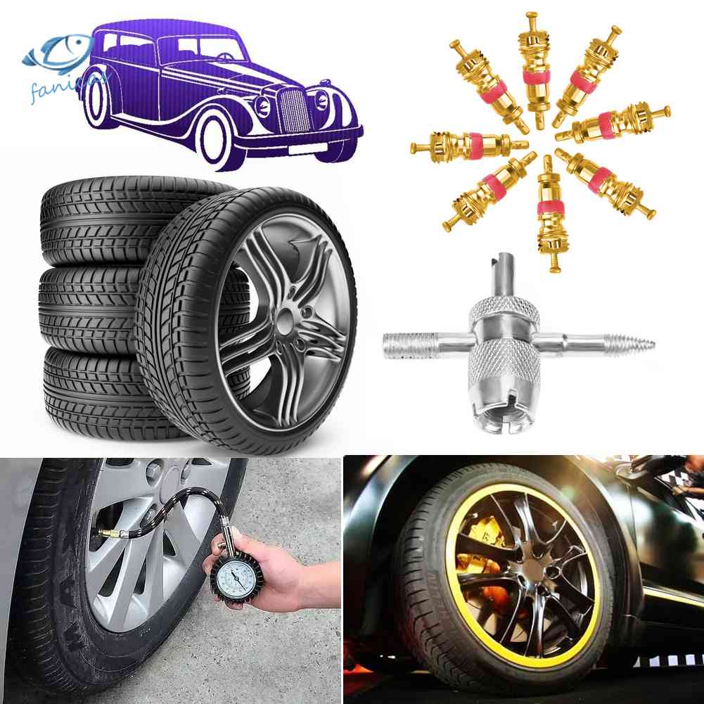 Bộ 4 Lõi Van A / C Schrader 4 Trong 1