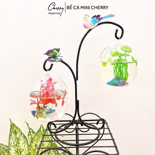 Bể Cá Mini Chữ X - 05 ( Tặng Kèm Phụ Kiện Trang Trí )