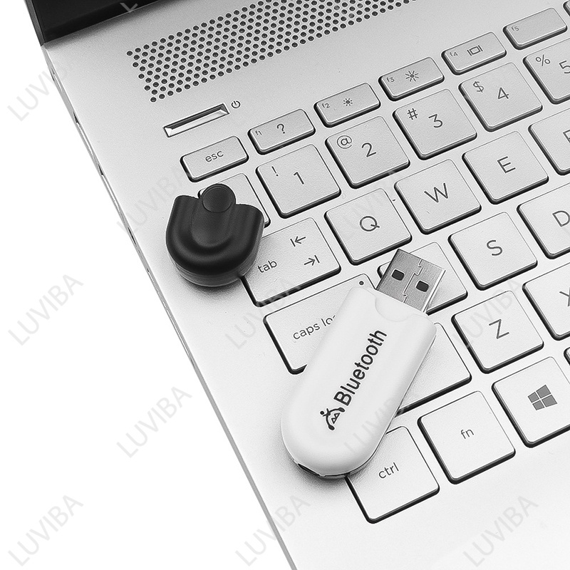 USB bluetooth 5 0 dongle cho loa cho audio LUVIBA BT50 | BigBuy360 - bigbuy360.vn