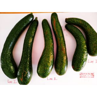 Combo 3kg bơ sáp 034 siêu ngon