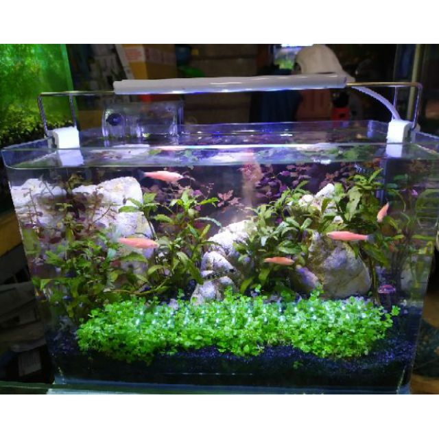 Cát Platium, cát đen bể cá. Cát đen (hàng nhập) - 1kg