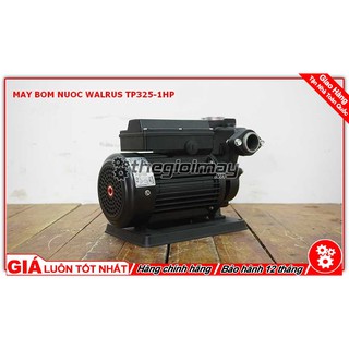 Máy bơm nước bánh răng đẩy cao Walrus TP325