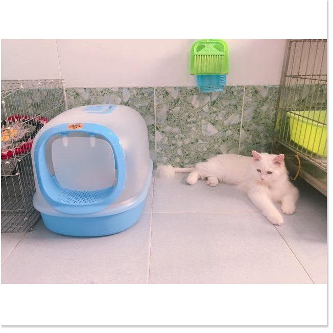Nhà vệ sinh mèo Ag + tặng xẻng