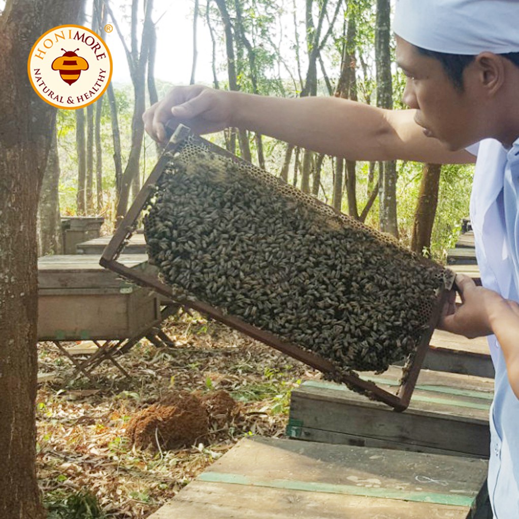 Set 2 chai tặng 1 chai cùng loại: Mật ong nguyên chất Hoa Rừng Phương Nam 630g - 100% mật ong chín nguyên chất