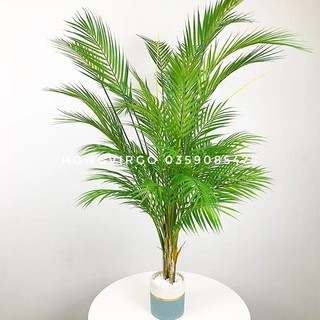 🌴 Cây Dừa Giả Cảnh Trang Trí decor siêu xinh