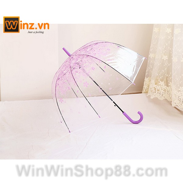 Dù trong suốt hoa anh đào - Winz.vn