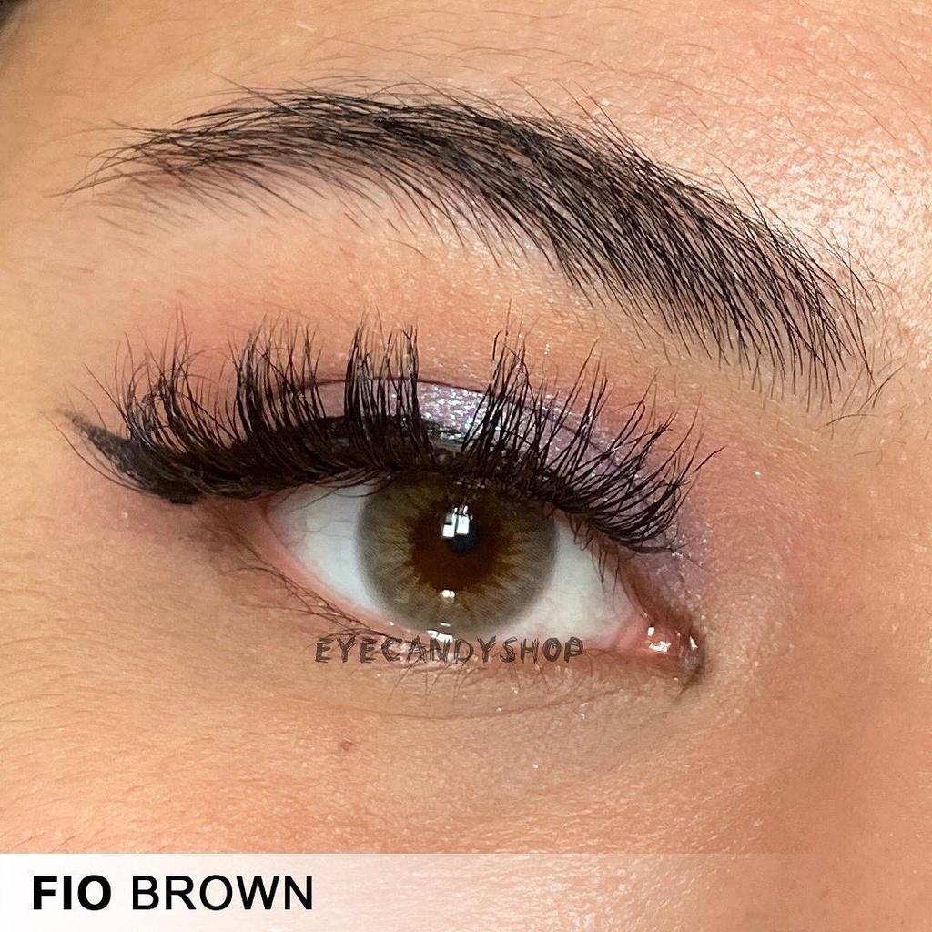 Áp Tròng Nâu Rêu FIO BROWN Ẩm 55% Phù Hợp Mắt Khô Yếu Nhạy Camr