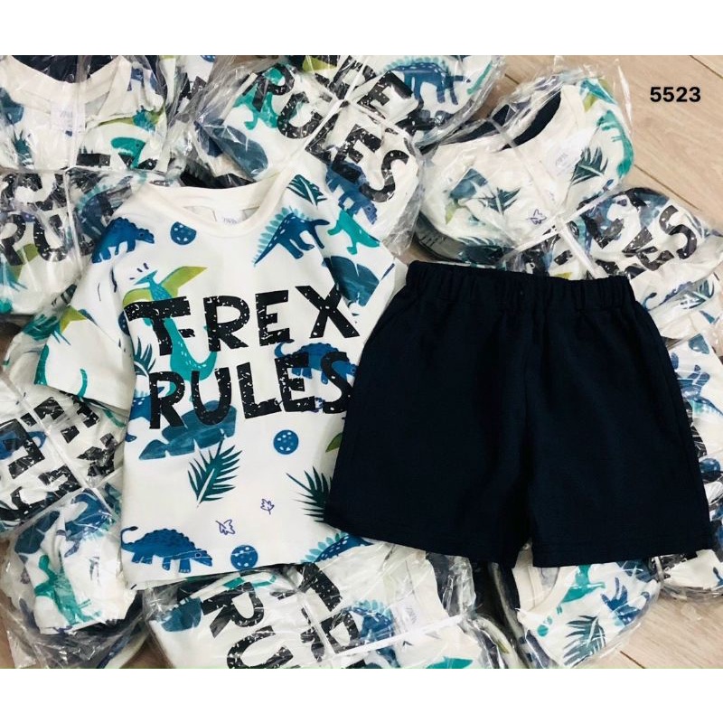 Bộ cotton xuất dư zara cho bé trai 10/22kg