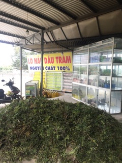 Dầu Tràm Huynh Đệ Loại 1
