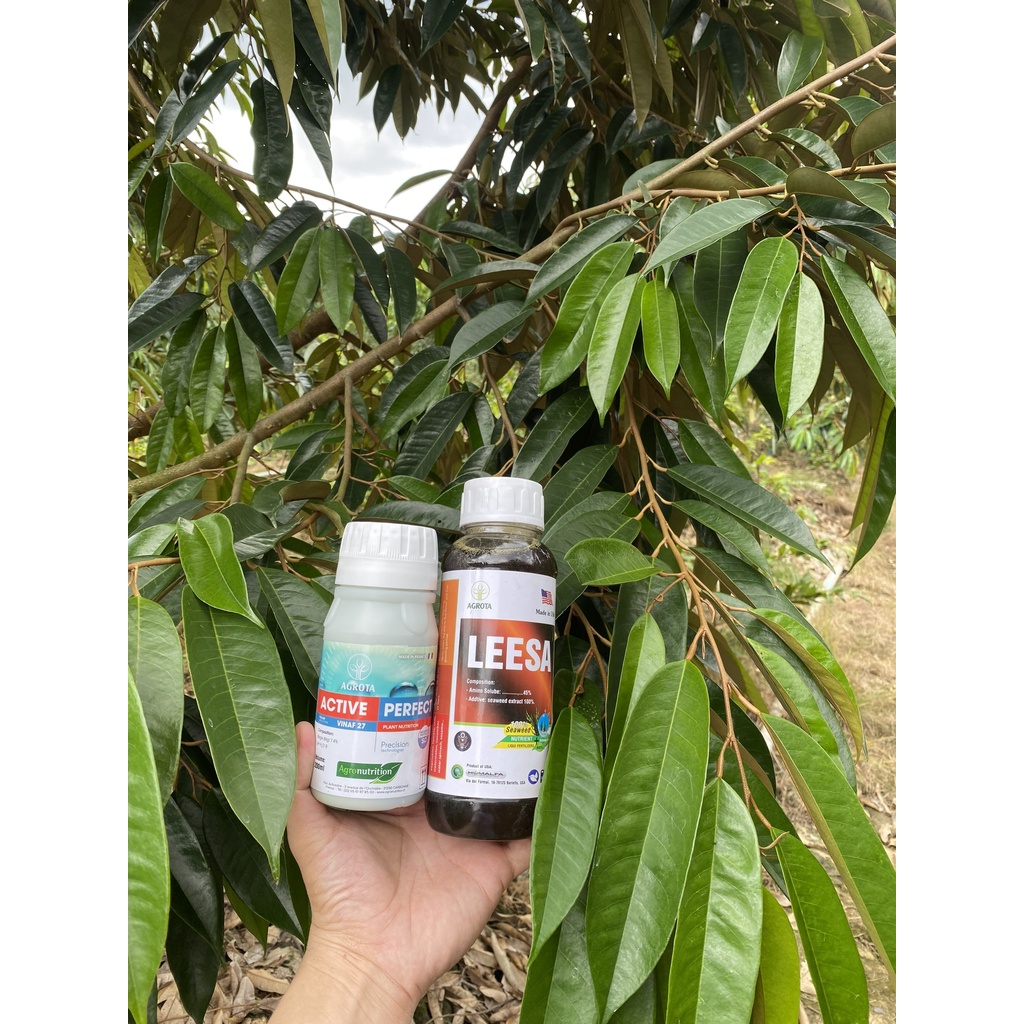 ACTIVE PERFECT - Dinh Dưỡng Toàn Diện - Vi Lượng Thiết Yếu Nhập Khẩu Từ Pháp | Kỹ Sư Thái