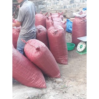 300g bồ hòn tách hạt