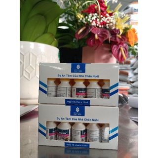 UV-NYSTA chai 10ml cho gà đá (giá rẻ)