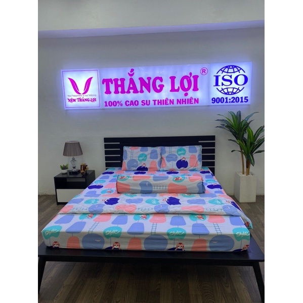 Ga Thắng lợi cotton, ga giường 100% chuẩn logo ( 4 món) mẫu Mèo nhỏ