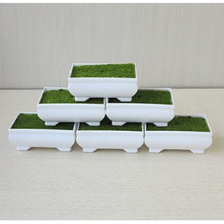 Chậu hoa nhựa Cao Cấp