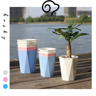 Chậu trồng cây thông minh tự tưới nước, Chậu cây nhựa dành cho không gian bàn làm việc, văn phòng, phòng khách