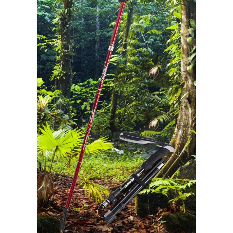 Gậy Leo Núi Chống Sốc Có Thể Thu Gọn Tiện Dụng Chất Lượng Cao