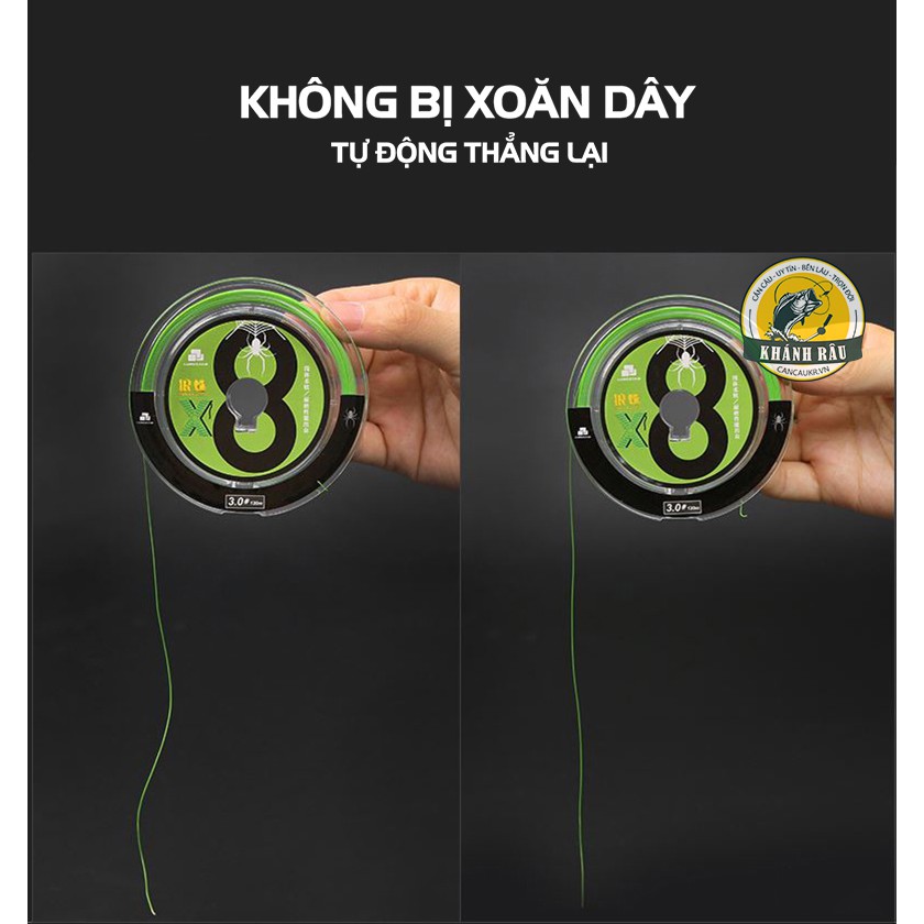 Dây Dù Câu Cá Tarantula Nhện Xanh 120m LURE STAR