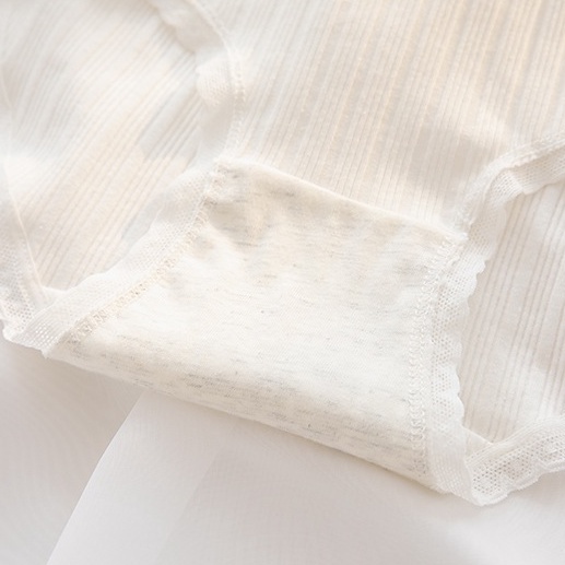 Quần lót nữ cotton, họa tiết quả cam xinh xắn, viền ren lưng thun kháng khuẩn HLBOUTIQUE L135