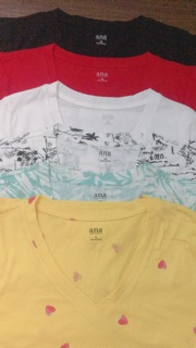 Áo thun form dài cổ tim xk Ana