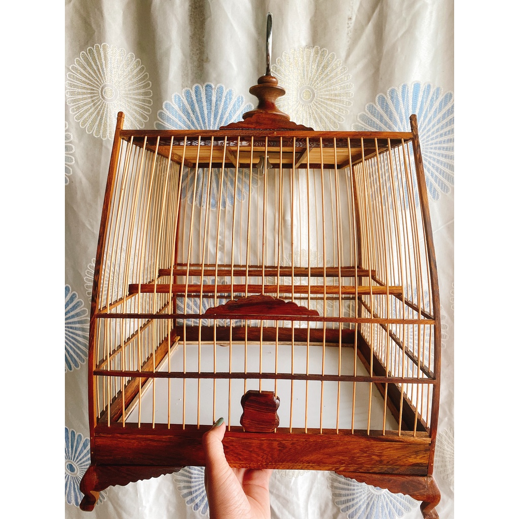 LỒNG CHIM CHÀO MÀO - THÁI ĐẤU 2