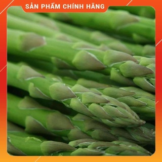 Hạt giống măng tây xanh Thái Lan