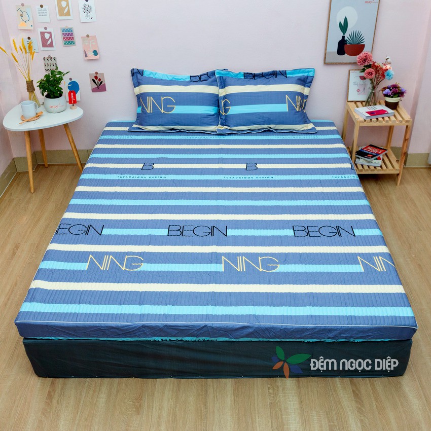 Bộ Ga Chun Cotton Hàn Quốc Trần Bông Kèm 2 Vỏ Gối m6 m8 2m2 nhiều mẫu