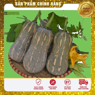-23% COMBO HẠT GIỐNG RAU CỦ VIP