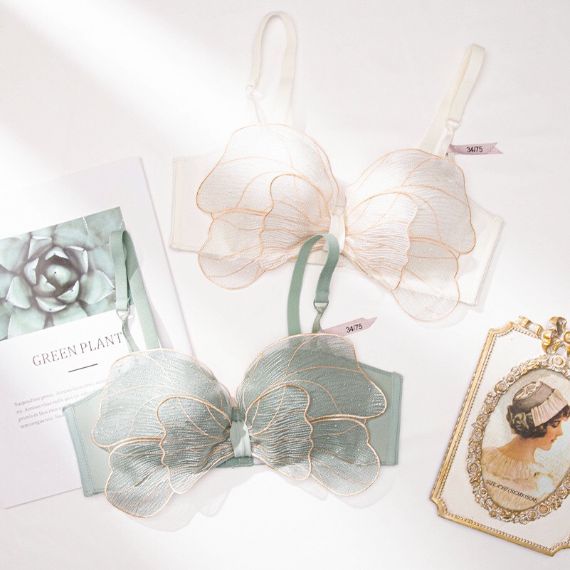 [Có sẵn] Áo Lót Ren Cánh Bướm Đệm Dày, Không Gọng AL34 | BigBuy360 - bigbuy360.vn