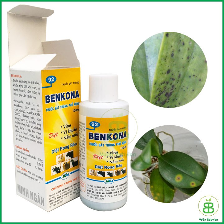 THUỐC TRỊ NẤM BENKONA 100ML