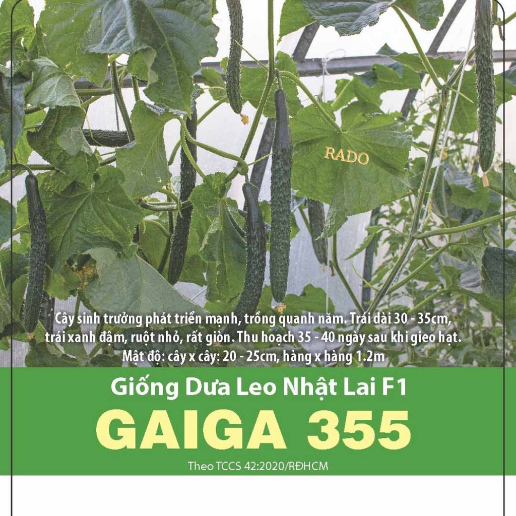 Hạt Giống Dưa Chuột Nhật Siêu Dài Giòn Ân Ngon 5 Hạt