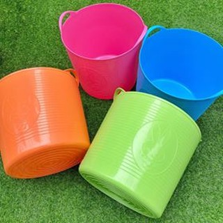 Chậu tắm cho cún