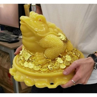Thiền thừ cóc ngậm tiền vàng đá